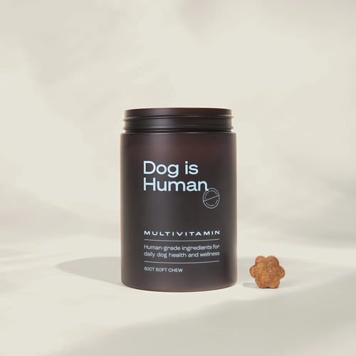 Dog is Human Daily Multivitamin for Dogs (Chicken Flavor) Human-grade, Vet-formulated, Made in Vermont