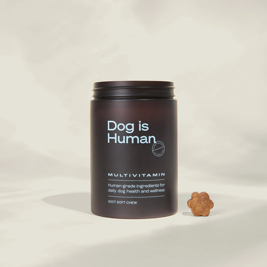 Dog is Human Daily Multivitamin for Dogs (Chicken Flavor) Human-grade, Vet-formulated, Made in Vermont
